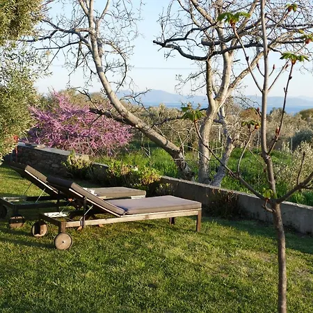 Art Villa Pelion Agria Exterior photo