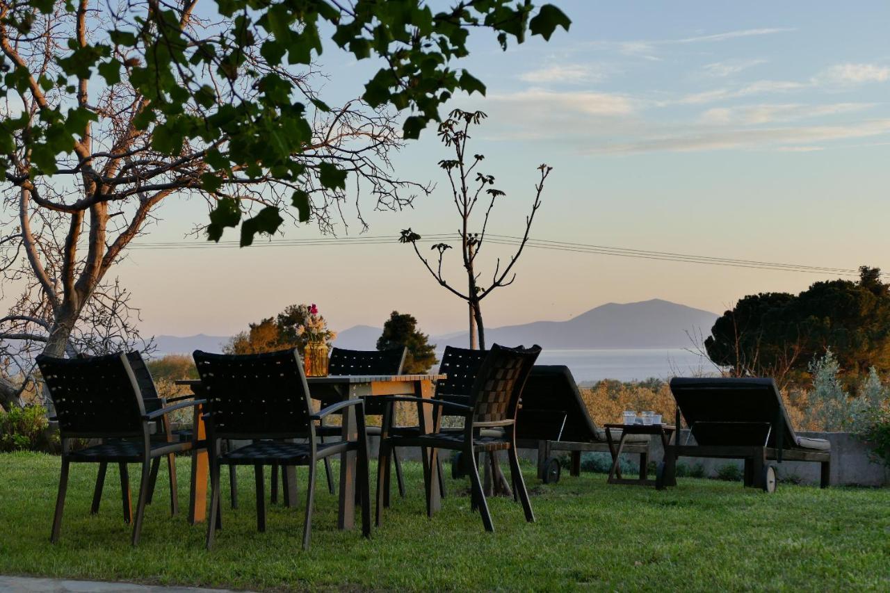Art Pelion Villa
