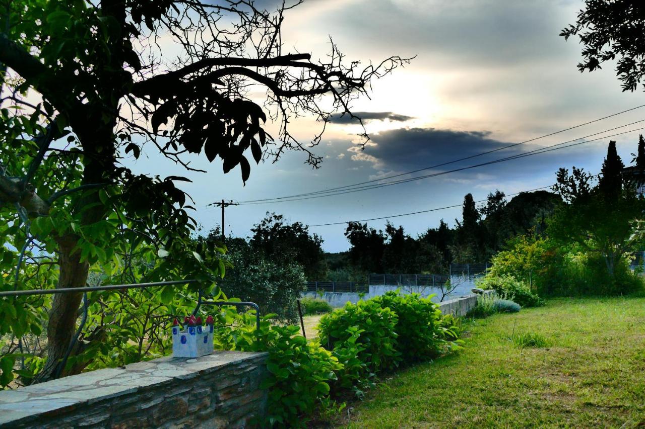 Art Pelion Agria