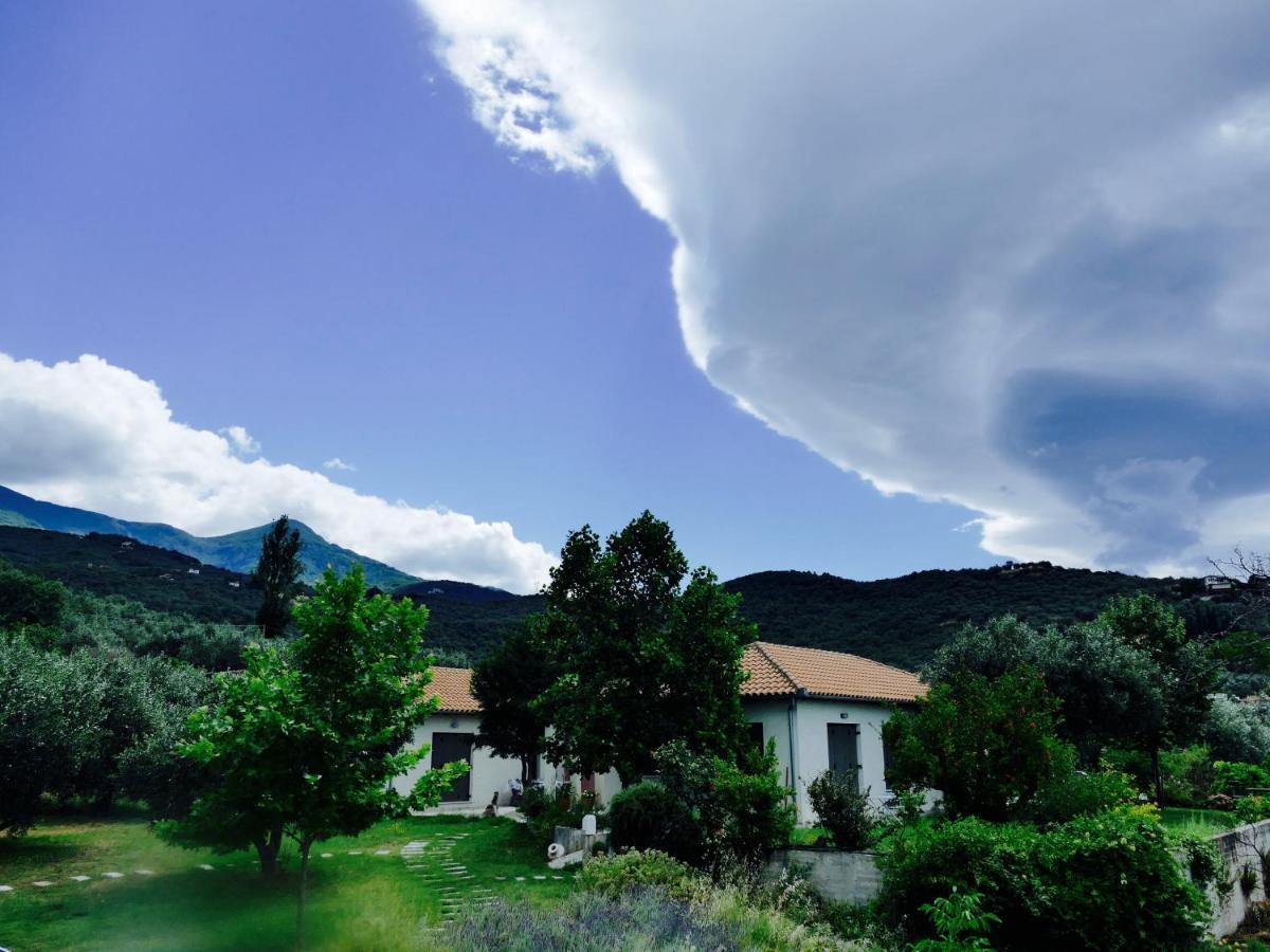Art Pelion