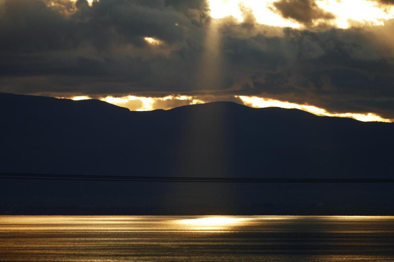 Art Pelion *