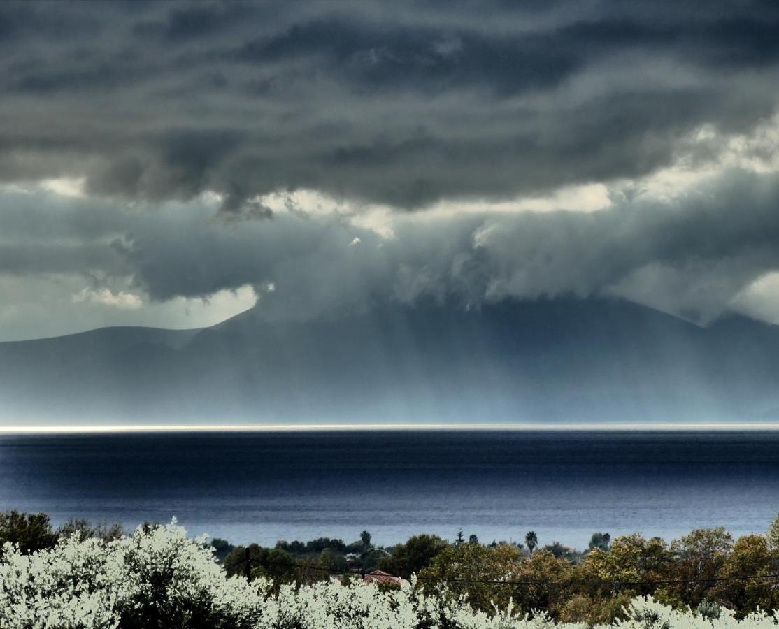 Art Pelion Villa *
